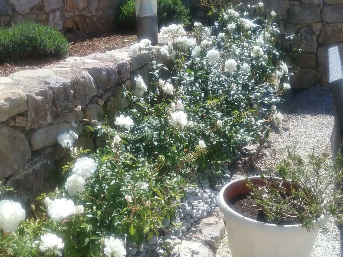 La Bastide Saint Anne Pension Buitenkant foto
